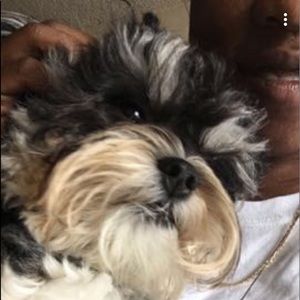 Meet your Posher, Tbeez